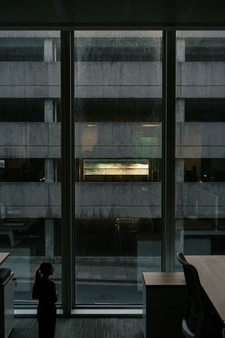THE GREEN BRIEF